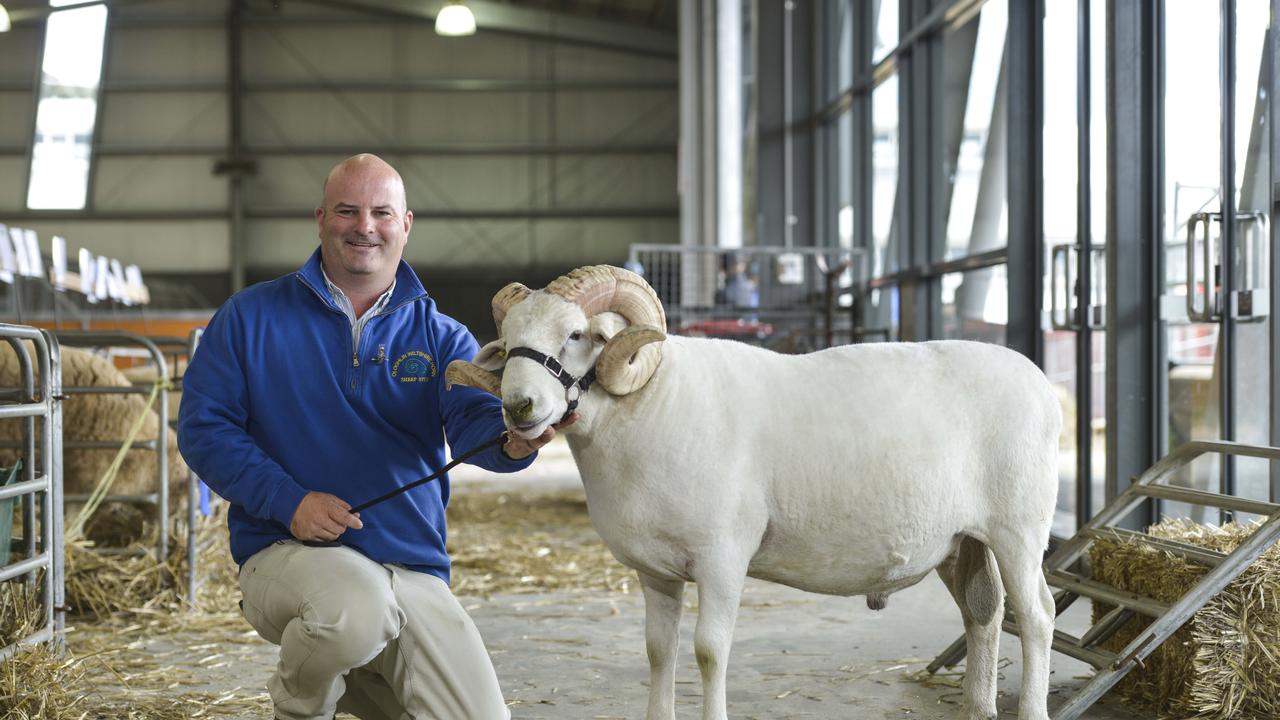 Jason O’Loghlin from Deniliquin, NSW, with his grand champion Wilshire Horn ram, on Sunday, September 22 at the Royal Melbourne Show. Photo: Dannika Bonser