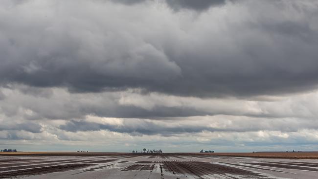 The Cecil Plains region south of Dalby has been receiving a substantial amount of rain. Picture: David Martinelli