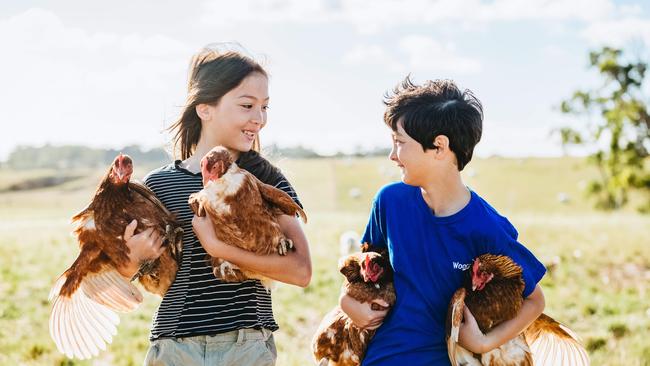 Dhiira and Manan like to help out on the farm. Picture: Chloe Smith