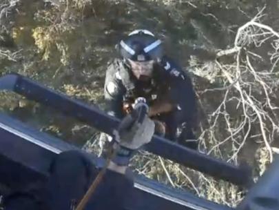 Extraordinary police chopper footage has captured the moment a paraglider stuck 10m high in a tree in the High Country was winched to safety.