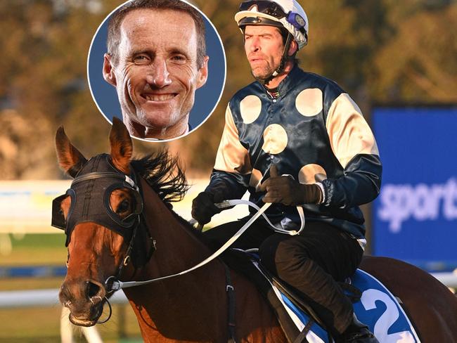 Champion jockey Damien Oliver (inset) believes Buckaroo is one of the key players in Saturday's $5 million Group 1 Caulfield Cup.