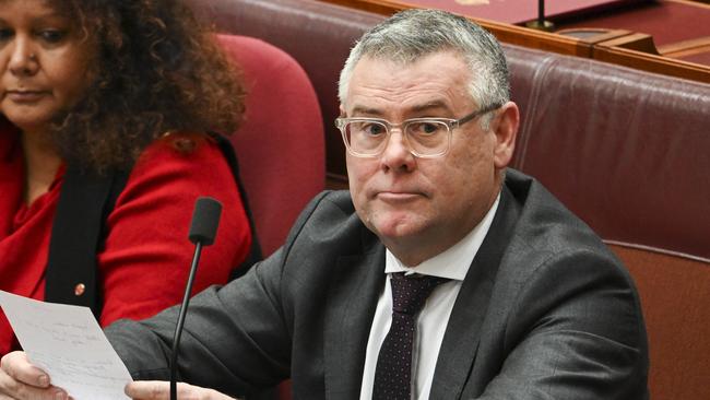 Watt in the Senate. Picture: NewsWire / Martin Ollman