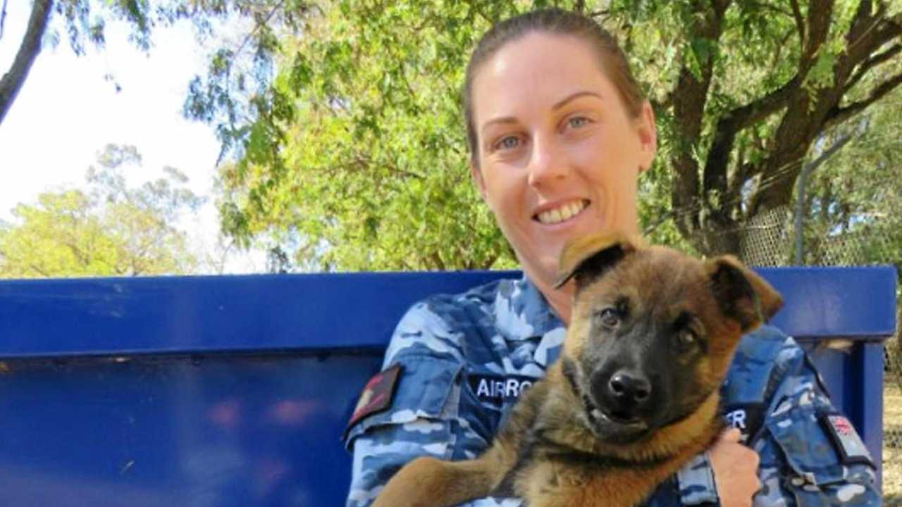 Love of RAAF puppies takes Ipswich handler around the world | The ...