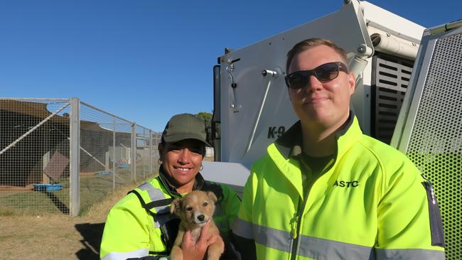 Alice Springs Town council ranger Charlotte Bryers and ranger manager Luke Allen. Picture: Gera Kazakov.