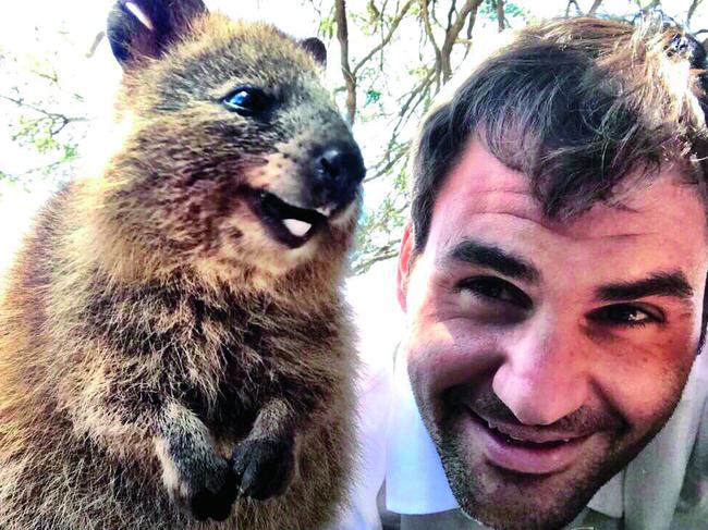 Roger Federer with a quokka on Rottnest Island in 2017. Picture: Instagram