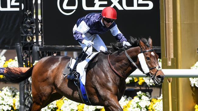 Twilight Payment leads from start to finish to win the 2020 Melbourne Cup. Picture: Racing Photos via Getty Images