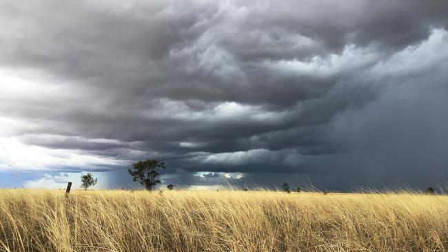 La Nina to bring rain in the spring.