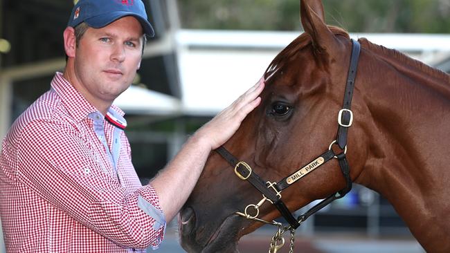 Agent Michael Wallace bought Lot 143, a Chestnut Filly from Mill Park Stud, South Australia, for $850 000 — the highest price on day one of the Magic Millions sales. Picture: Glenn Hampson