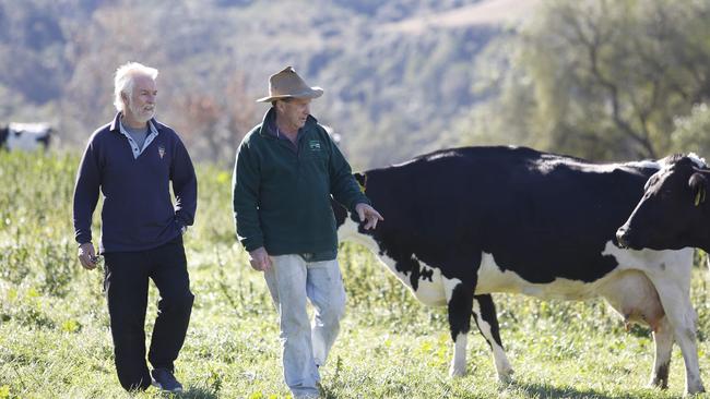 Sixth generation dairy farmer John Fairley (right) and Kevin Thomas. (AAP IMAGE / Robert Pozo)