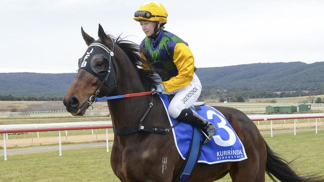 Racenet's Shayne O'Cass thinks Devrgu can salute at a generous price at Moruya on Tuesday. Picture: Bradley Photos