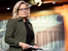 'Deserved comeuppance': Liz Cheney the 'new brave hero' of the left