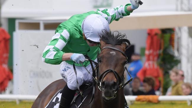 Yulong January heads back to Melbourne after winning at Randwick last start. Picture: AAP