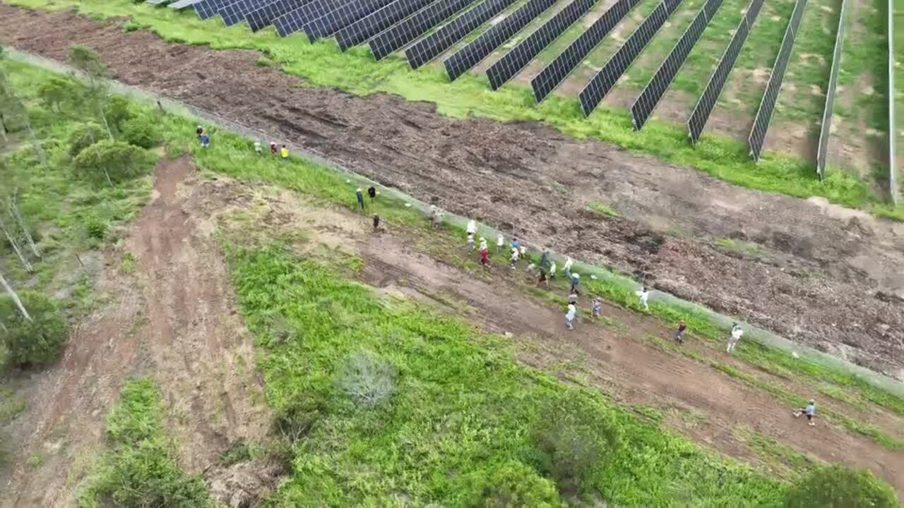 Bundaberg rally attendee's walk along the fence-line of obtrusive solar farm