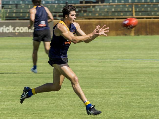 West Coast Eagles players during an open training session at Subiaco Oval on Wednesday. Pictured is Tom Barrass. Picture: Matthew Poon