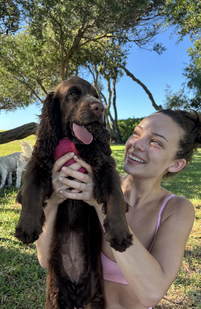 Abbie Chatfield has shown off a new member of her family, a Cocker Spaniel x Clumber Spaniel puppy, called Daisy. Picture: Supplied