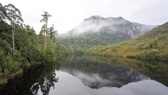 Anicent forests line Gordon River in Strahan, Tasmania.