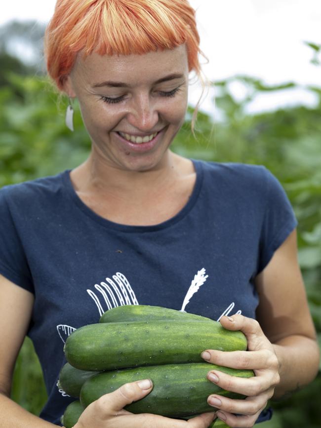 Loop Growers’ Alice Star. Picture: Dominika Lis