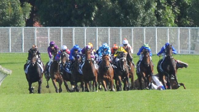 Single Gaze and Kathy O’Hara crash to the turf as the field enters the straight. Picture: Simon Bullard