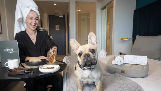 Maya Stankovic, 21 and her dog Lucy kick back in the pet-friendly rooms at Quest Burwood East. Picture: Jason Edwards