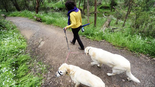 BJ Hubbard Reserve is surrounded by natural bushland with plenty of walking tracks.