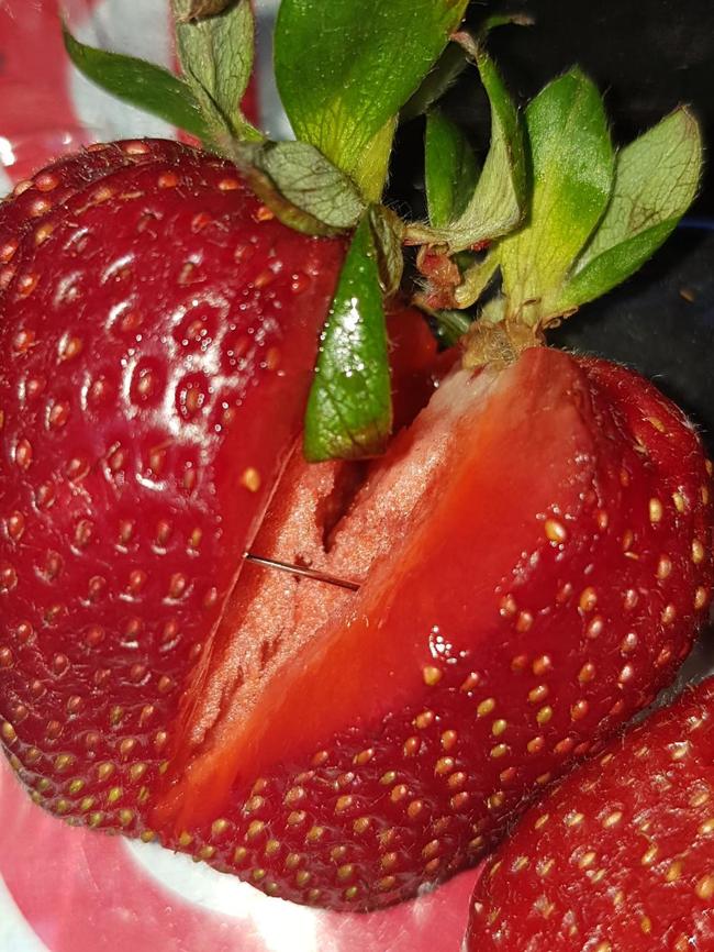 One of several needles found in a strawberry. This one was purchased from Foodland in Jamestown. Picture: supplied.