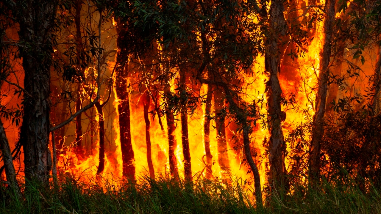 Catastrophic fire danger across NSW