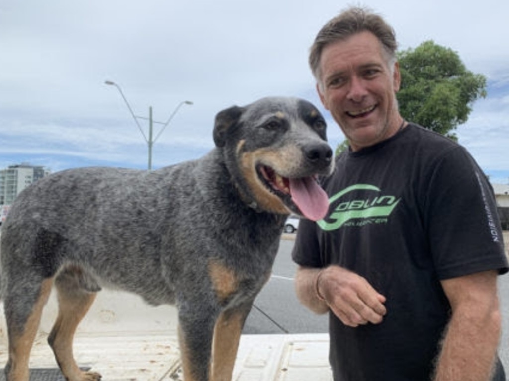 Andrew Nielsen and his cattle dog Jasper reunited after a harrowing three days lost in a rainforest. Picture: Supplied