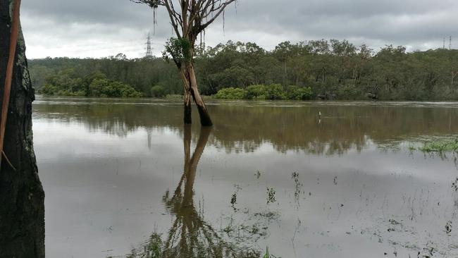 The Georges River flooding at Picnic Point on Monday. Picture: Lawrence Machado