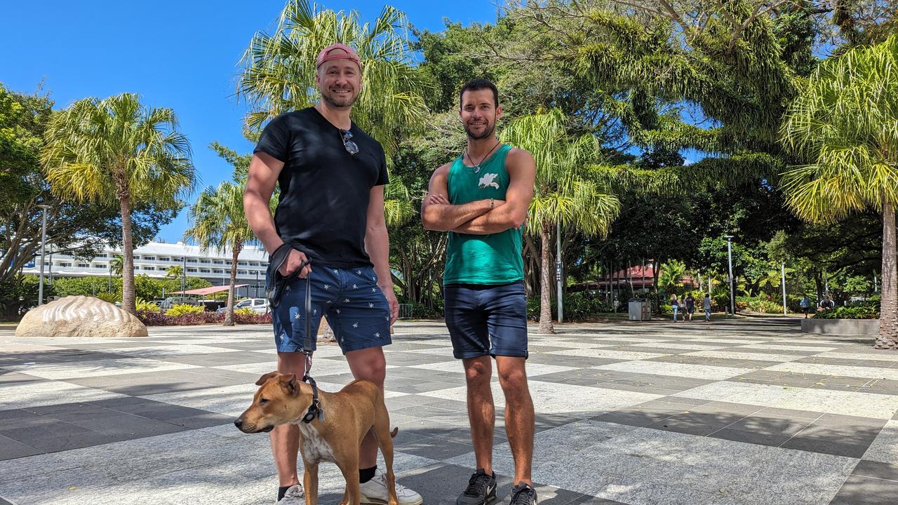 The Cairns Regional Council Bylaw Impacting Dog Owners In The City ...