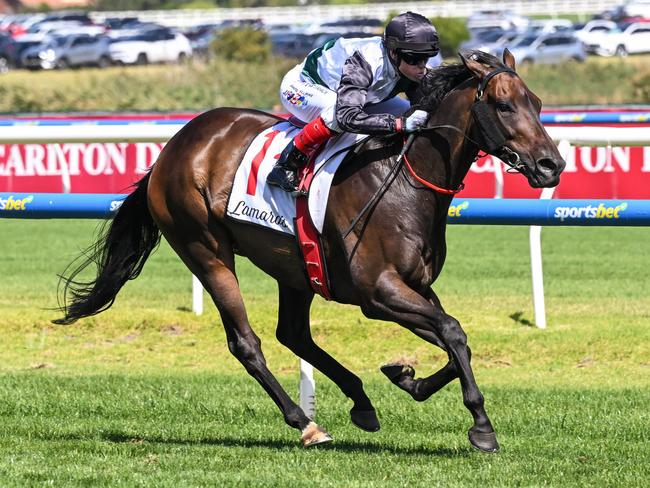 Mr Brightside (NZ) ridden by Craig Williams wins the Lamaro's Hotel Futurity Stakes at Caulfield Racecourse on February 24, 2024 in Caulfield, Australia. (Photo by Reg Ryan/Racing Photos via Getty Images)