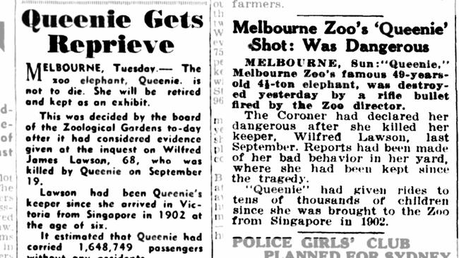 Newspaper articles detailing Queenie’s tragic final months. Pictures: Trove