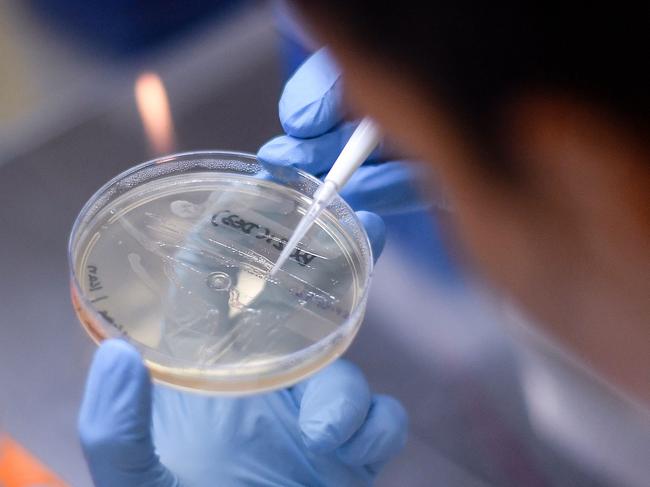 A researcher works on the development of a vaccine against the new coronavirus COVID-19, in Belo Horizonte, state of Minas Gerais, Brazil, on March 26, 2020. - The Ministry of Health convened The Technological Vaccine Center of the Federal University of Minas Gerais laboratory to conduct research on the coronavirus COVID-19 in order to diagnose, test and develop a vaccine. (Photo by DOUGLAS MAGNO / AFP)