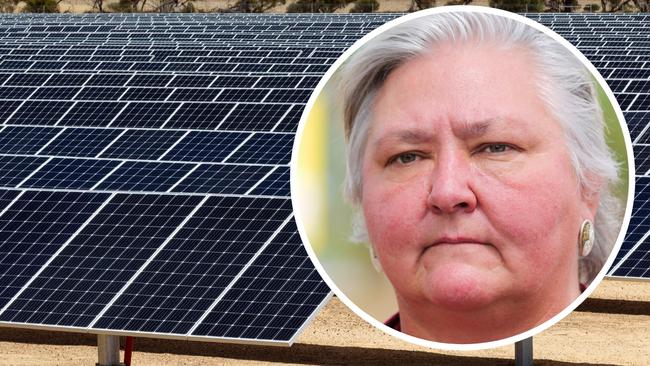 Senator Sam McMahon has labelled renewable energy a ‘great hoax’