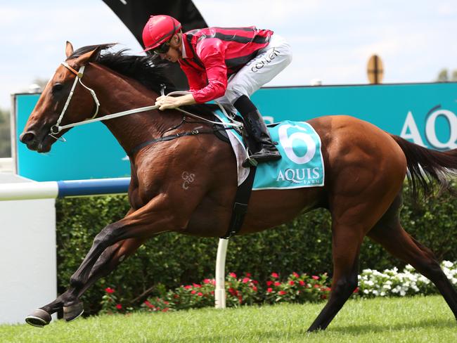 Gem Song wins the Aquis Farm Eskimo Prince Stakes at Warwick Farm, Saturday, 9th February 2019. Warwick Farm Racecourse held it's biggest richest race day, the Inglis Millennium Day. (AAP Image / Robert Pozo).