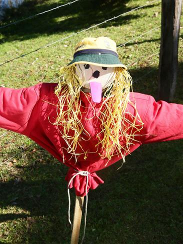 Scarecrows spring into valley festival | Daily Telegraph