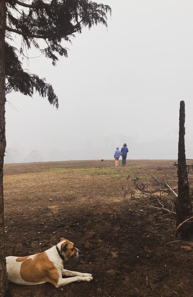 Their dog and cat survived the fire. Picture: Supplied