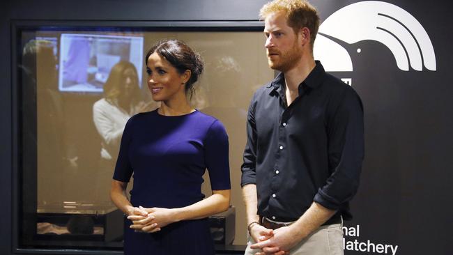 The couple are learning about the centre’s breeding program. Photo: Phil Nobel/Pool Photo via AP