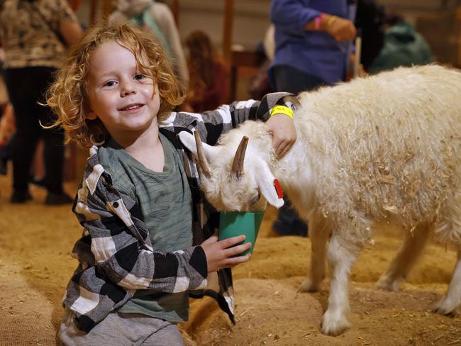 Sonny Trouville feeding a goat. Picture: Sam Ruttyn