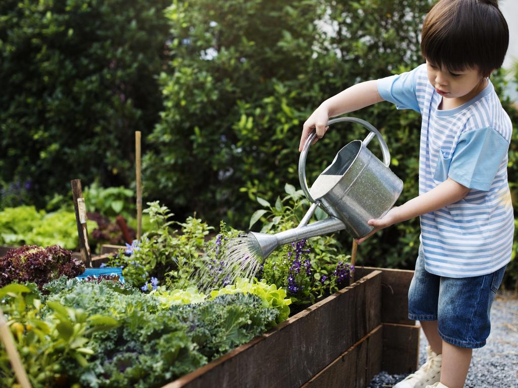 It’s time to start that vegie patch. Picture: iStock