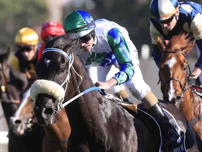 SYDNEY, AUSTRALIA - OCTOBER 29: Luke Nolan on I Wish I Win wins race 8 the XXXX Golden Eagle during Sydney Racing at Rosehill Gardens on October 29, 2022 in Sydney, Australia. (Photo by Mark Evans/Getty Images)