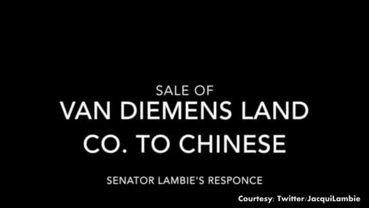 Lambie opposes the sale of dairy giant