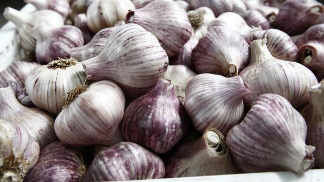 Letetia Ware from Middleton , Tasmanian Gourmet Garlic, grower , picture ,Kim Eiszele