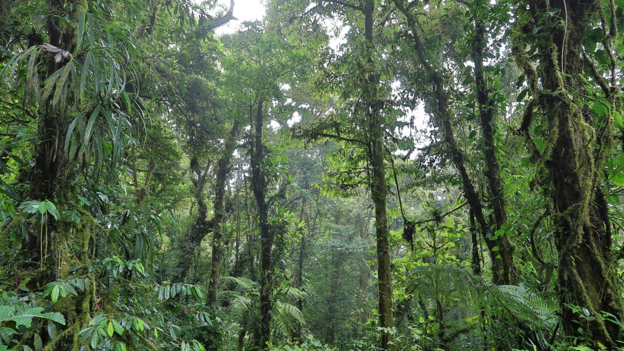 <p><b>Whether it&rsquo;s hiking Costa Rica&rsquo;s cloud forests or a regenerative retreat in Sri Lanka, these adventures are so awe-inspiring you&rsquo;ll soak up every second</b></p><h3>Hike Monteverde&rsquo;s Cloud Forest reserve in Costa Rica</h3><p><span>Home to virgin wilderness, ancient trees and some of the purest air in the world,&nbsp;</span><span>the symphony of elements that make up Monteverde&rsquo;s Cloud Forest is hypnotic. Since nature is synonymous with wellbeing, trekking through this wildlife-filled wonder is beneficial for both mind and body. Cloaked in rainforest, with an open-air yoga shala and plethora of activities on offer, Senda Monteverde, provides the perfect base to adventure out from each day. While Costa Rica constantly ranks highly as a safe solo destination, tour companies such as </span><a href="https://www.gadventures.com/" target="_blank" rel="noopener"><span>G Adventures</span></a><span> and </span><a href="https://www.intrepidtravel.com/au" target="_blank" rel="noopener"><span>Intrepid</span></a><span> offer itineraries for single travellers looking to connect with like-minded adventurers.</span></p><p class="button-common"><a title="sendamonteverde" href="https://www.sendamonteverde.com/" target="_blank" data-cta="sendamonteverde" data-editable="true">Find out more</a></p>