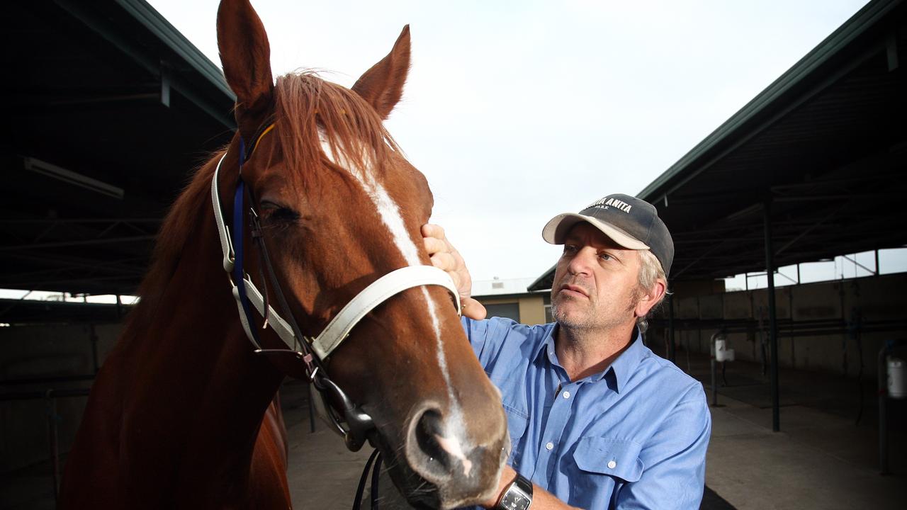Trainer Craig Curtis with racehorse Storm Brewing at Morphettville.
