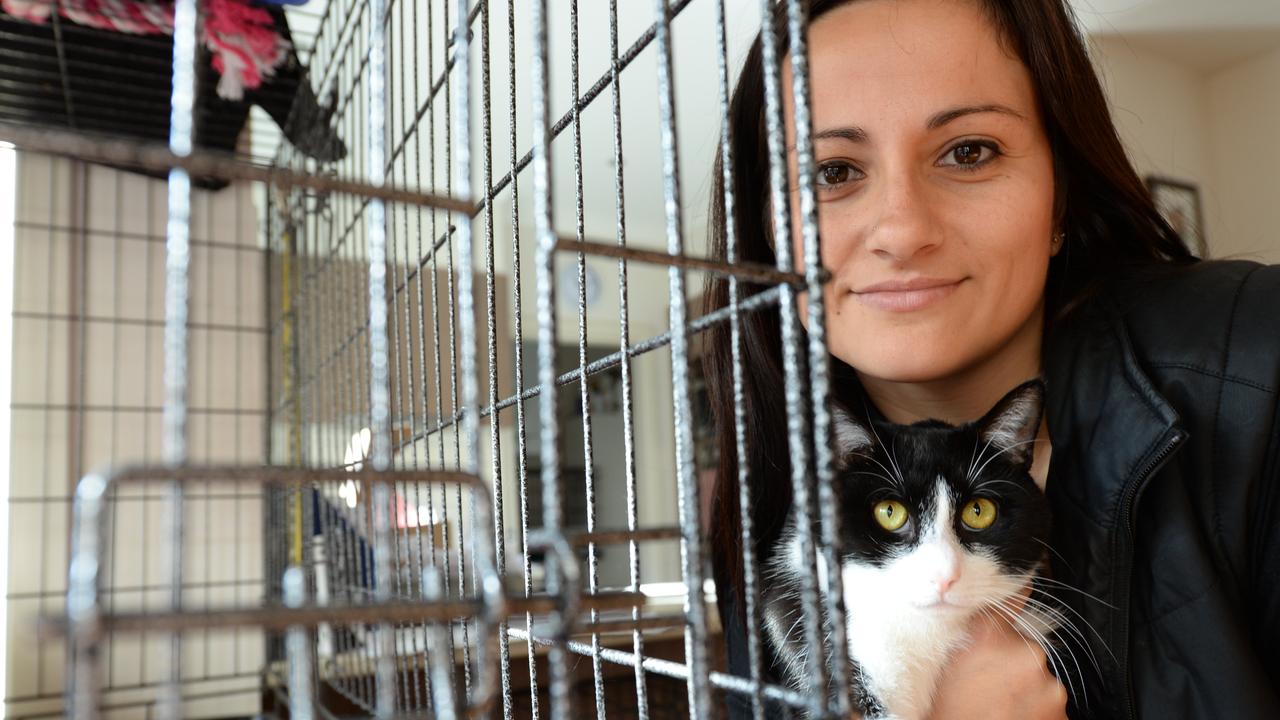 Leader Local Grants: Second Chance Animal Rescue’s Cat Safe House Wish ...