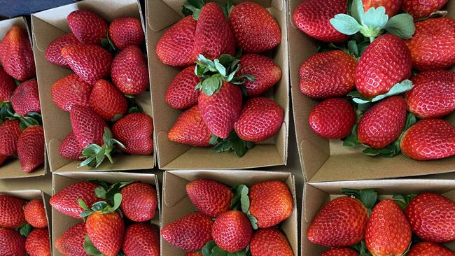 Strawberries have been significantly reduced in price due to lockdowns.