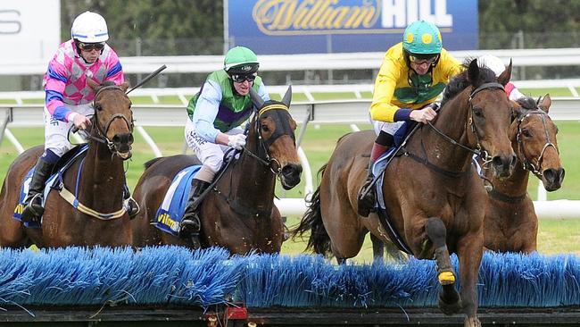 Bold Zamour, right, will be out to upstage the favourite in Saturday’s Grand National Steeplechase at Morphettville. Picture: Mark Brake