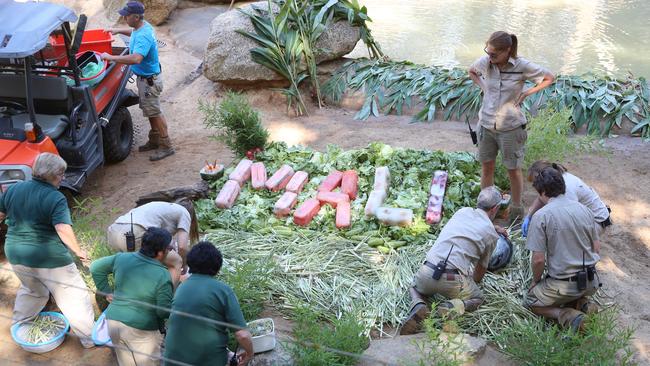 The Zoo keepers involved with making Mali’s 'cake'. Picture: Alex Coppel