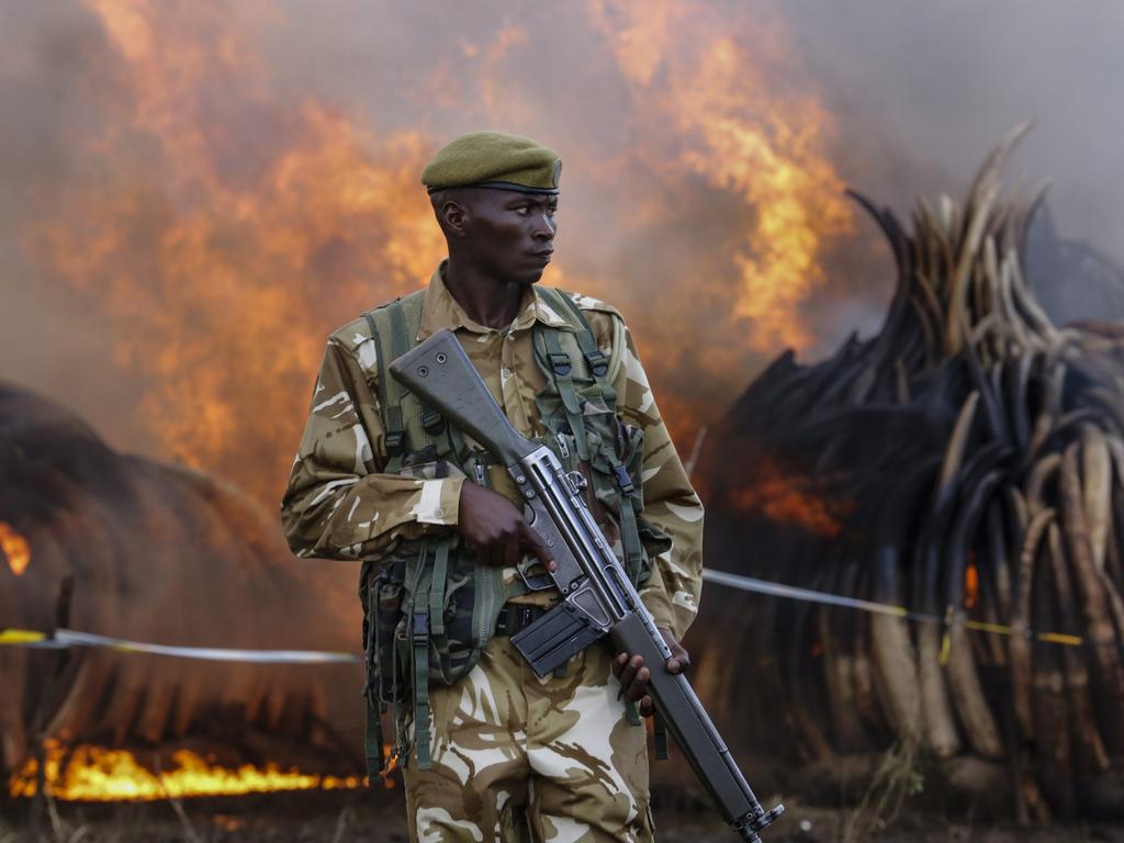 A Kenya Wildlife Service ranger stands guard in front of a burning pile of elephant tusks during an ivory burning event at the Nairobi National Park in 2016. Picture: Dai Kurokawa 