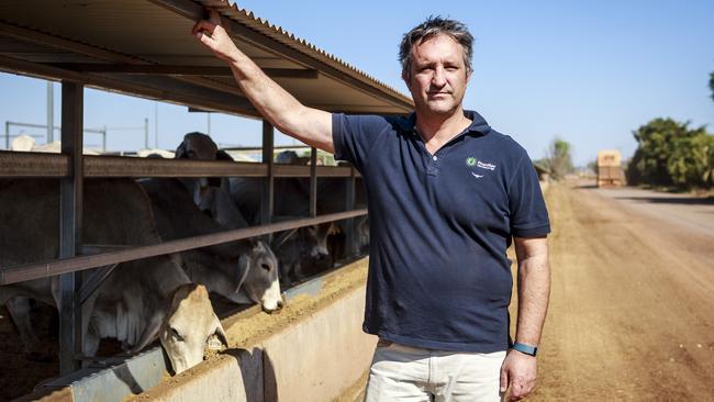 Frontier International Agri Operations ManagerÑSouth East Asia, Ashley James (blue shirt), and Manger of Noonamah Yards, Darryl Yesberg (red shirt), pictured at Noonamah Yards outside Darwin with cattle waiting to be exported to Indonesia.